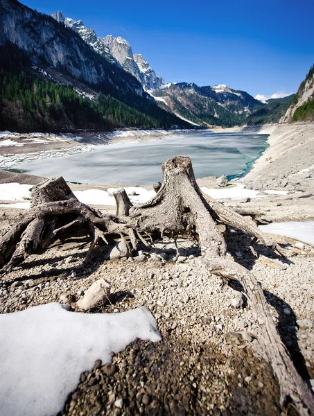 Lago nos Alpes Austríacos — Fotografia de Stock