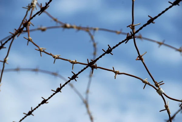 stock image Barbed wire on blue sky background as concept of limited freedom