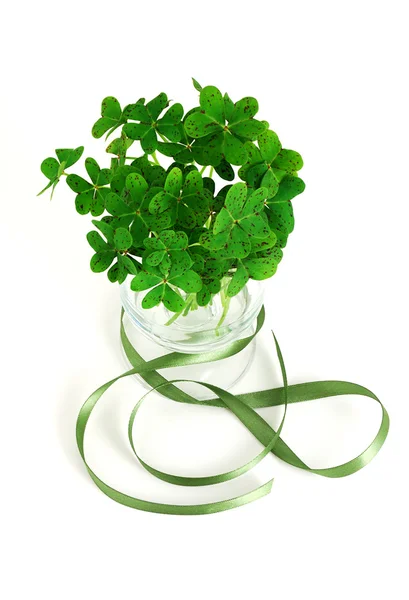 Bouquet di falso trifoglio con nastro verde — Foto Stock