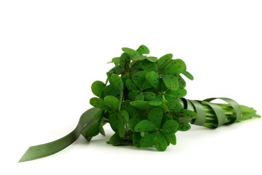 Bouquet of false shamrock with green ribbon lying on white background clipart