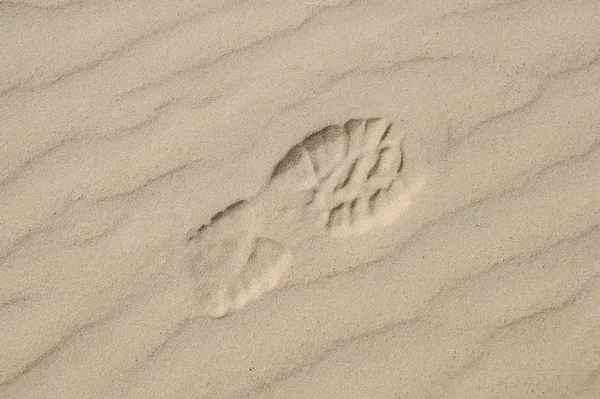 Ślad na piasku światło z wzorca po przekątnej — Zdjęcie stockowe