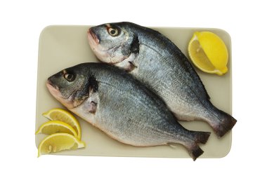 Two raw denis fishes on plate clipart