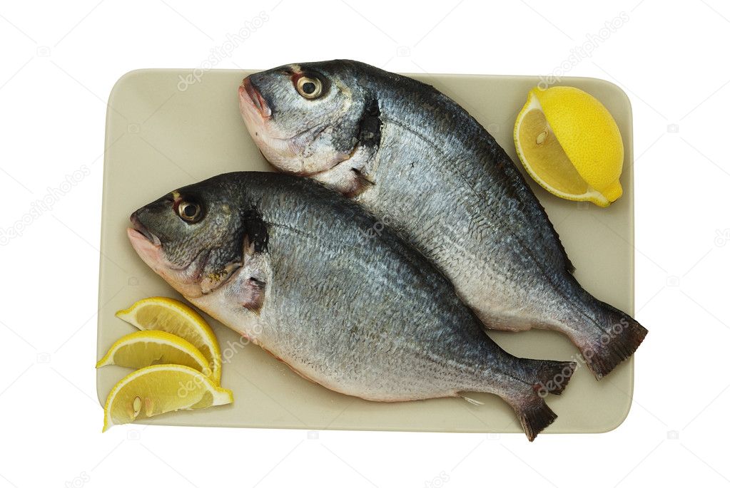 Two raw denis fishes on plate