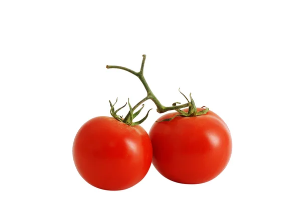 Twee verse tomaten geïsoleerd op wit — Stockfoto
