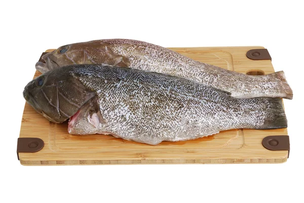 Two scaled grouper fish on bamboo cutting board — Stock Photo, Image