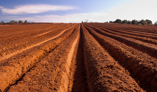 Свежая пашня
