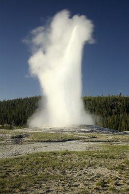 Old Faithful - Yellowstone Park clipart