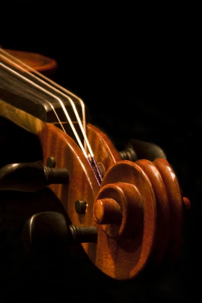 Primer plano de un pergamino de violín — Foto de Stock