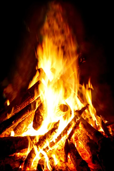 stock image Roaring Campfire