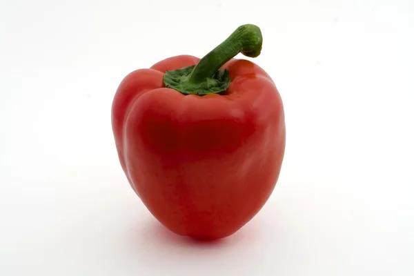 stock image Single Red Pepper