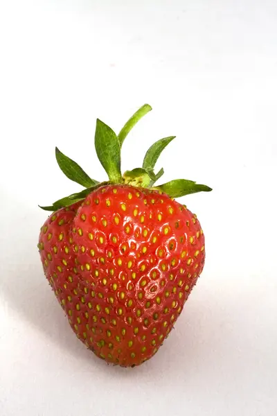 stock image One strawberry