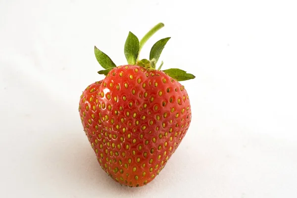 stock image Freshly picked strawberry