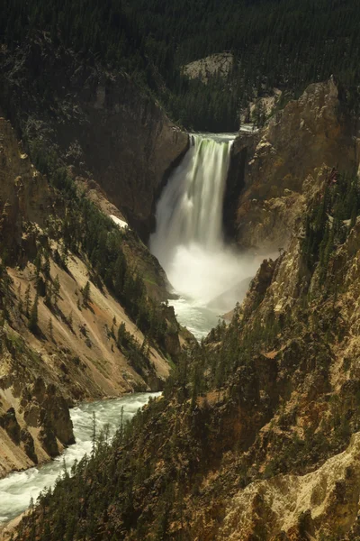 Lower Falls - Yellowstone — Stock Photo, Image