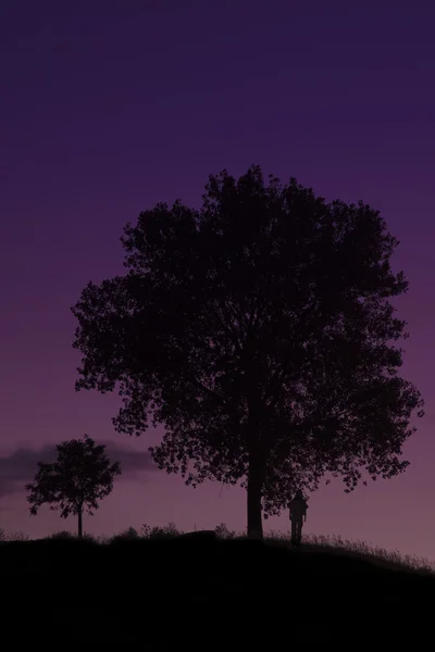 Silhueta Homem Uma Árvore Crepúsculo — Fotografia de Stock