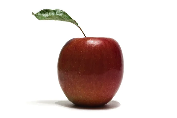 Ein Roter Köstlicher Apfel Mit Ausladendem Stiel Und Blatt — Stockfoto