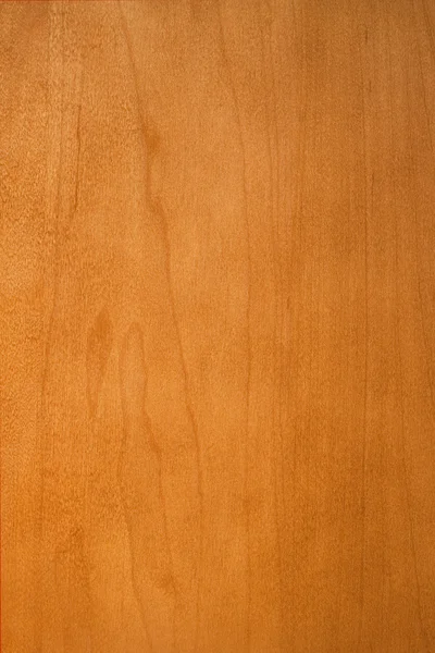 Hardwood Section — Stock Photo, Image