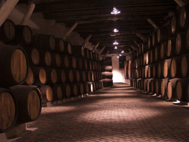 Vine cellar with porto tawny wooden barrels clipart