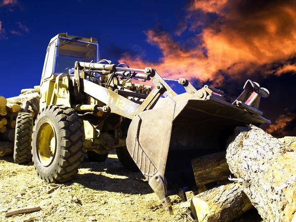 stock image Lumber industry