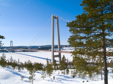 Winter in northern Sweden clipart