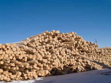 Pile of wooden logs clipart