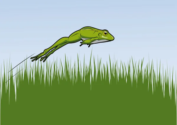 Springfrosch — Image vectorielle