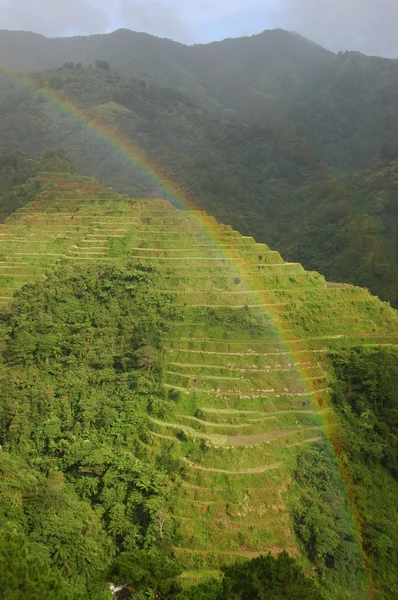 Rainbow over rice terraces