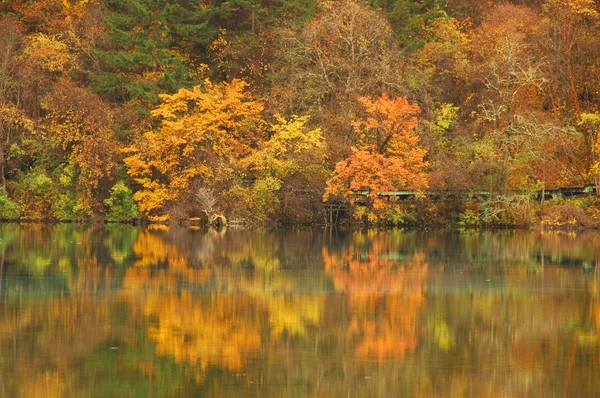 Stock image Fall Reflection