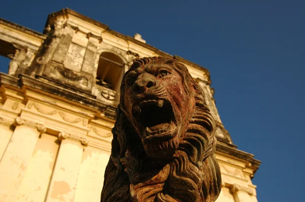 Статуя Льва Охраняющая Собор Леона Никарагуа Стоковая Картинка