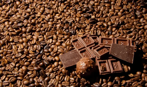 Rebanadas de chocolate en granos de café — Foto de Stock