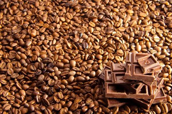 Chocolate slices on coffee grains — Stock Photo, Image