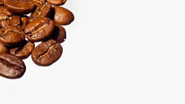 Coffee Grain — Stock Photo, Image