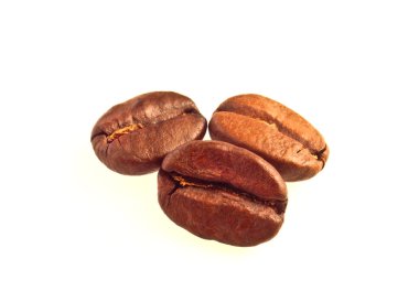 Coffee brown bean cafe seed drink macro clipart