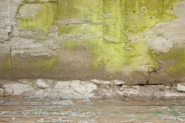 Muro di pietra muschio — Foto Stock