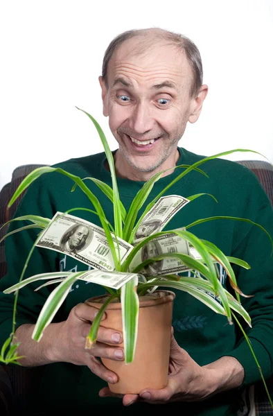 Anciano Sosteniendo Planta Dinero Aislado Sobre Fondo Blanco — Foto de Stock