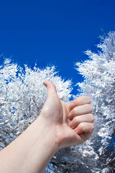 Kciukiem do góry zimą — Zdjęcie stockowe