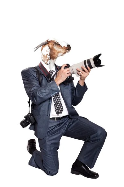 Biznes fotograf z głową kozy — Zdjęcie stockowe