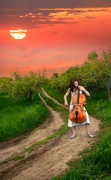 Menina bonita tocando violoncelo — Fotografia de Stock