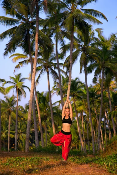 Mujer en pose de árbol Vrikshasana — Foto de Stock