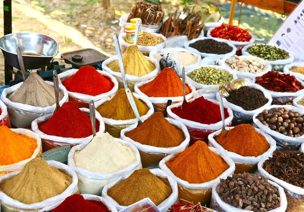 Indiska färgat pulver kryddor — Stockfoto