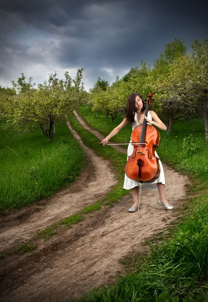 Mooi meisje spelen de cello — Stockfoto