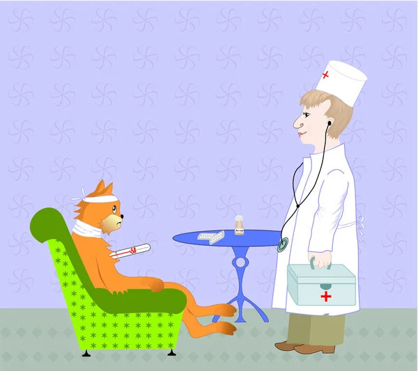 ตวแพทย งยาให แมวป — ภาพเวกเตอร์สต็อก