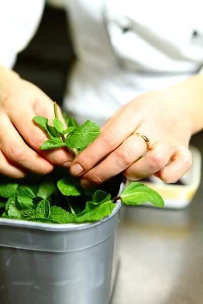 stock image Chef in restaurant cooking a dessert