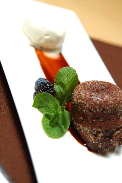 Шоколадный десерт с мороженым — стоковое фото