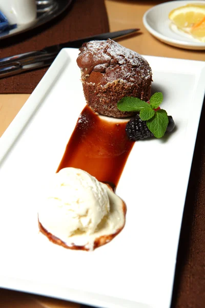 Шоколадный десерт с мороженым — стоковое фото