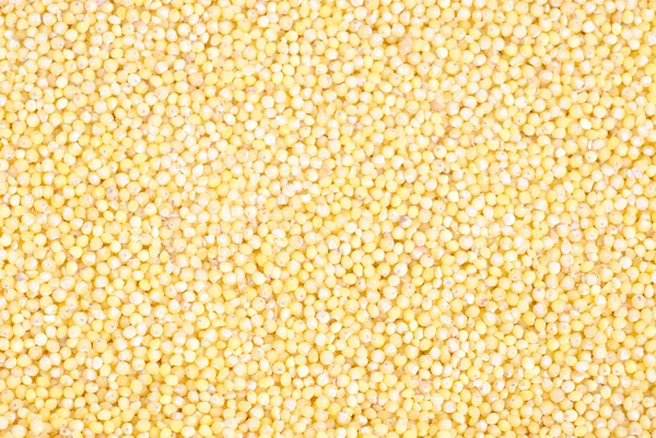 Yellow millet close up as background — Stock Photo, Image