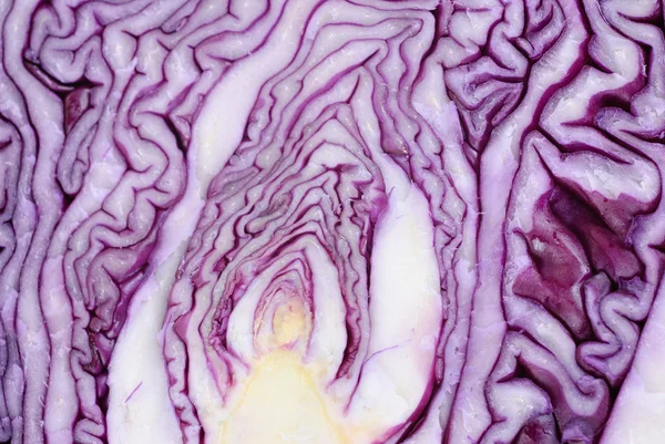 Rebanadas de col violeta se cierran como fondo —  Fotos de Stock