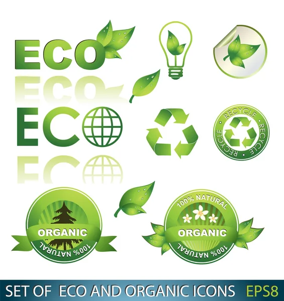 Conjunto Iconos Ecológicos Ecológicos — Vector de stock