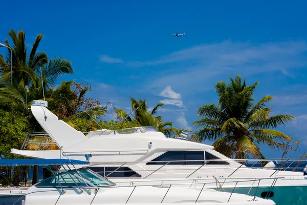 Moorage with yachts — Stock Photo, Image
