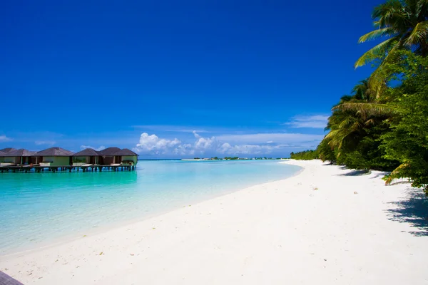 Maldive Spiaggia Scena — Foto Stock