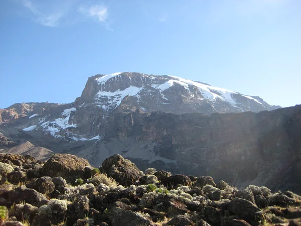 Vista Del Kilimanjaro —  Fotos de Stock